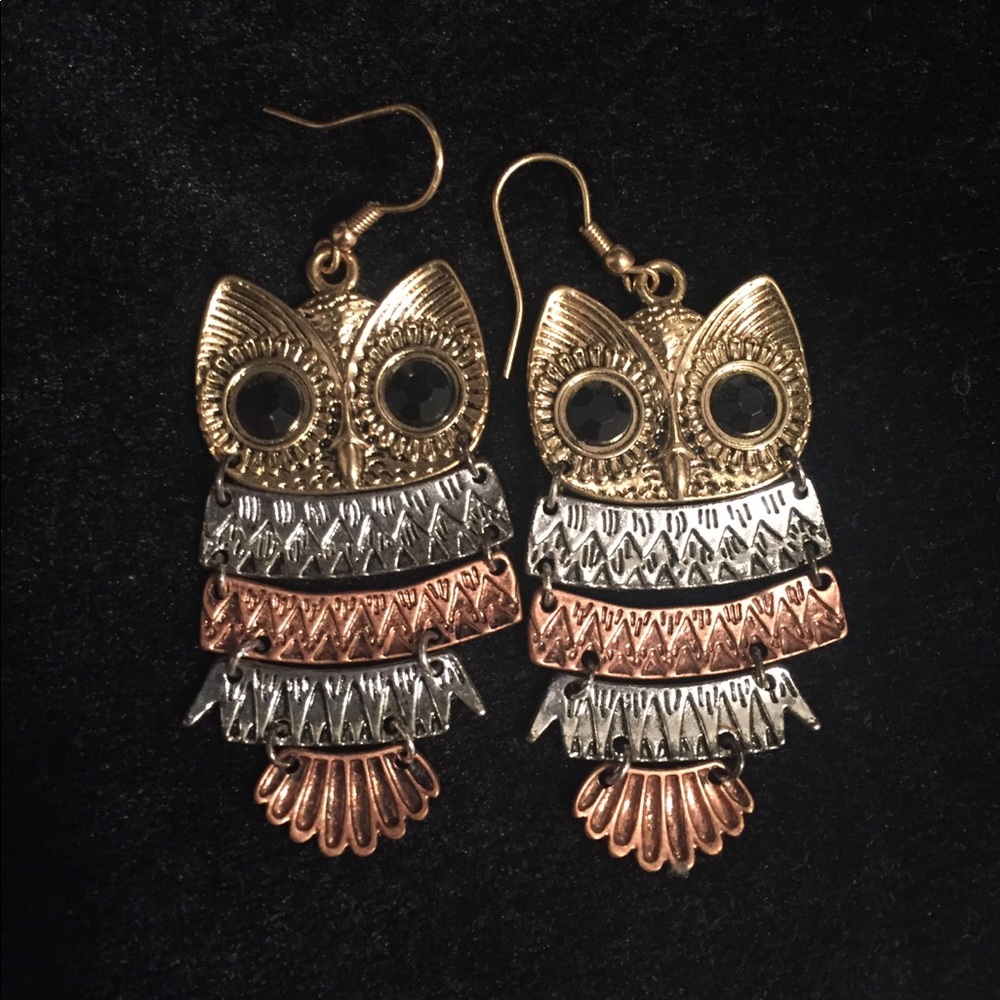 NWOT Owl Earrings